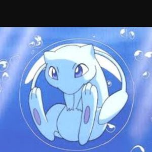 Meet your Posher, Joey